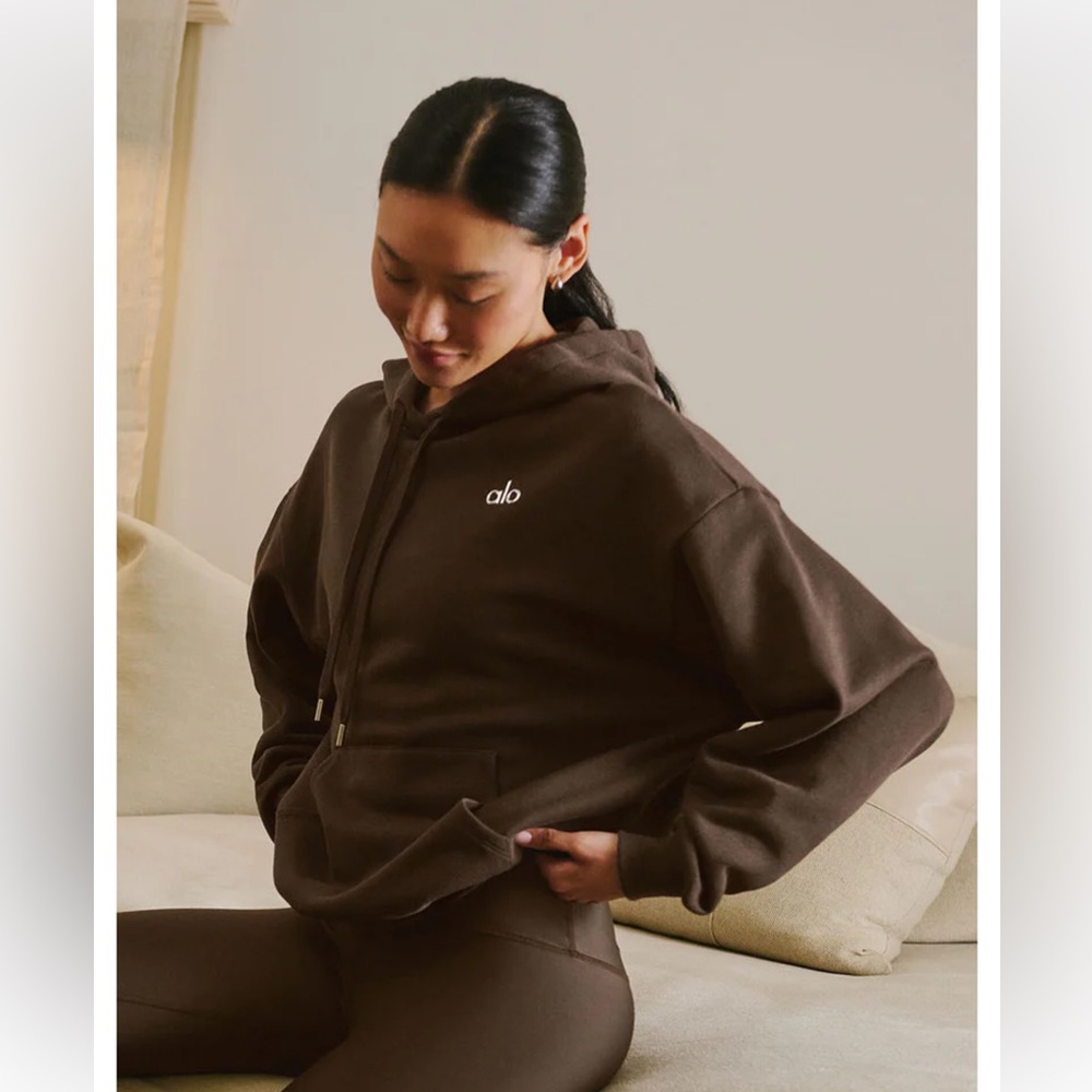 ALO Yoga Brown Accolade Hoodie